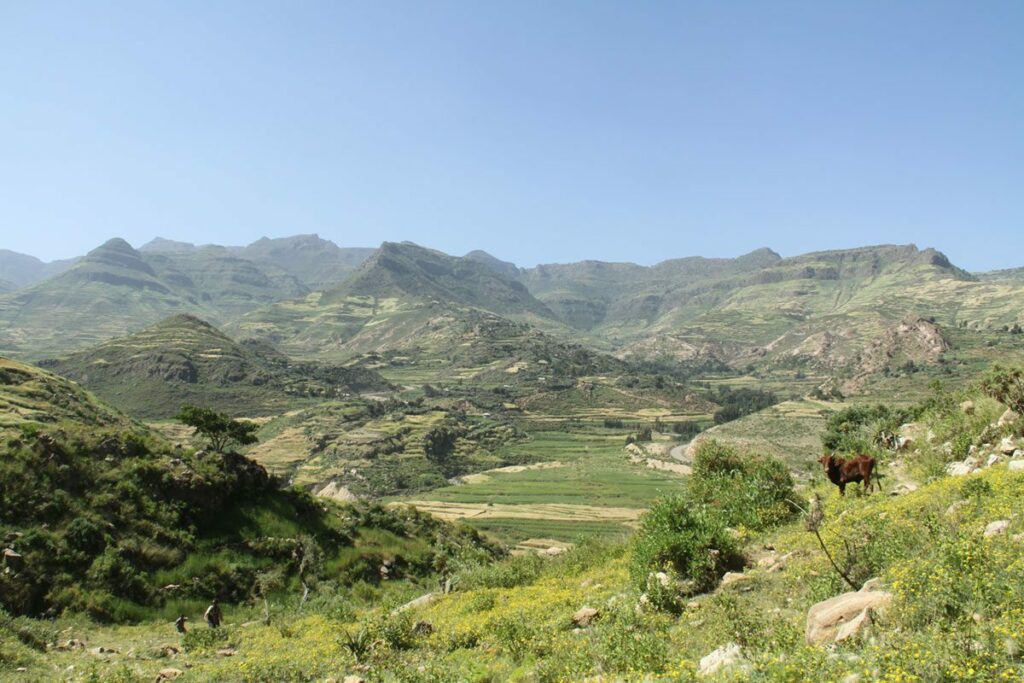 A view of the lush green hills and fields surrounding the Abada community