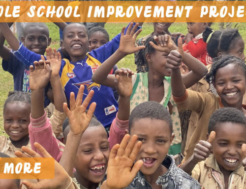 Anole School Improvement Project